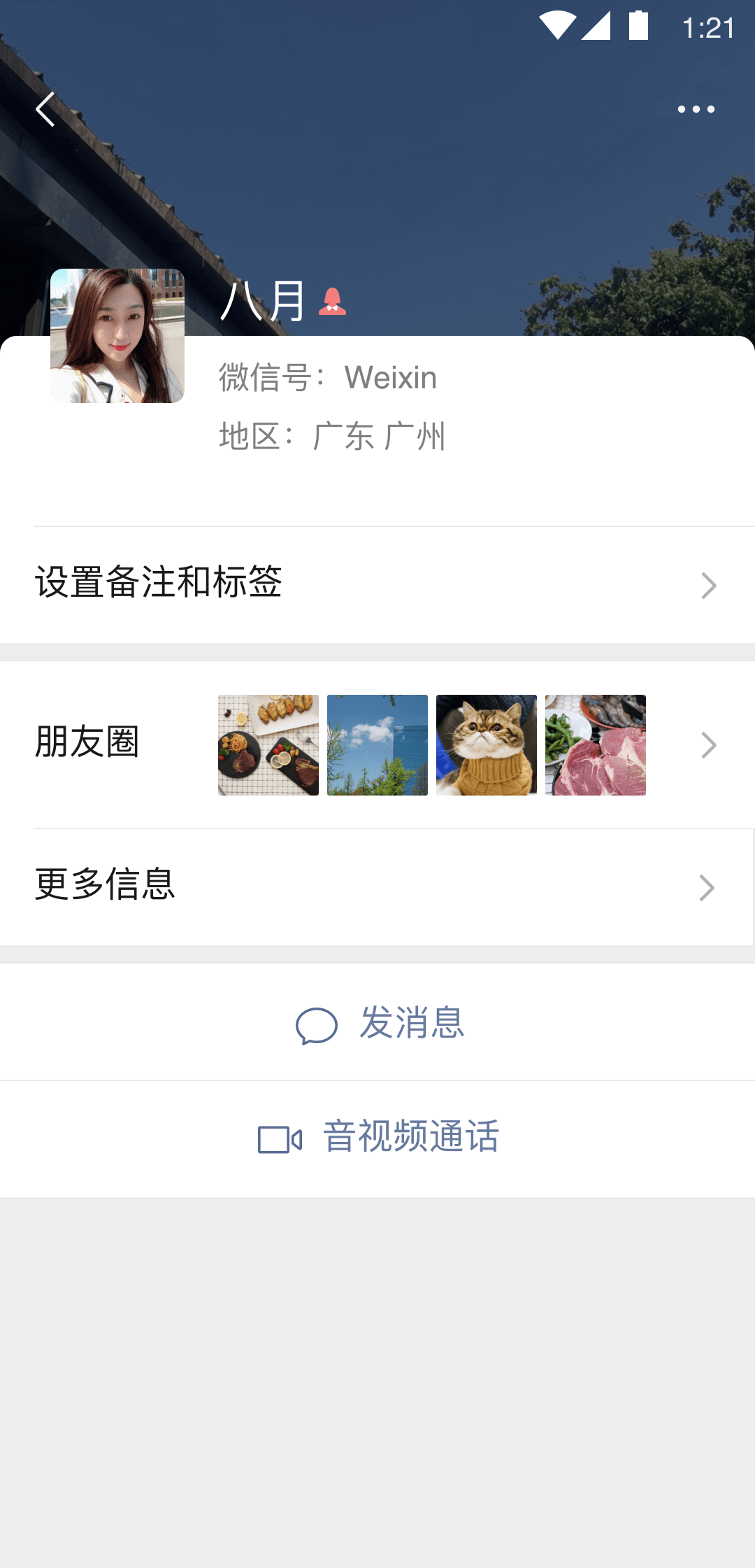 四条腿带尾巴的爬行动物截图